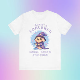 Labrador Sorcerer DND T-Shirt