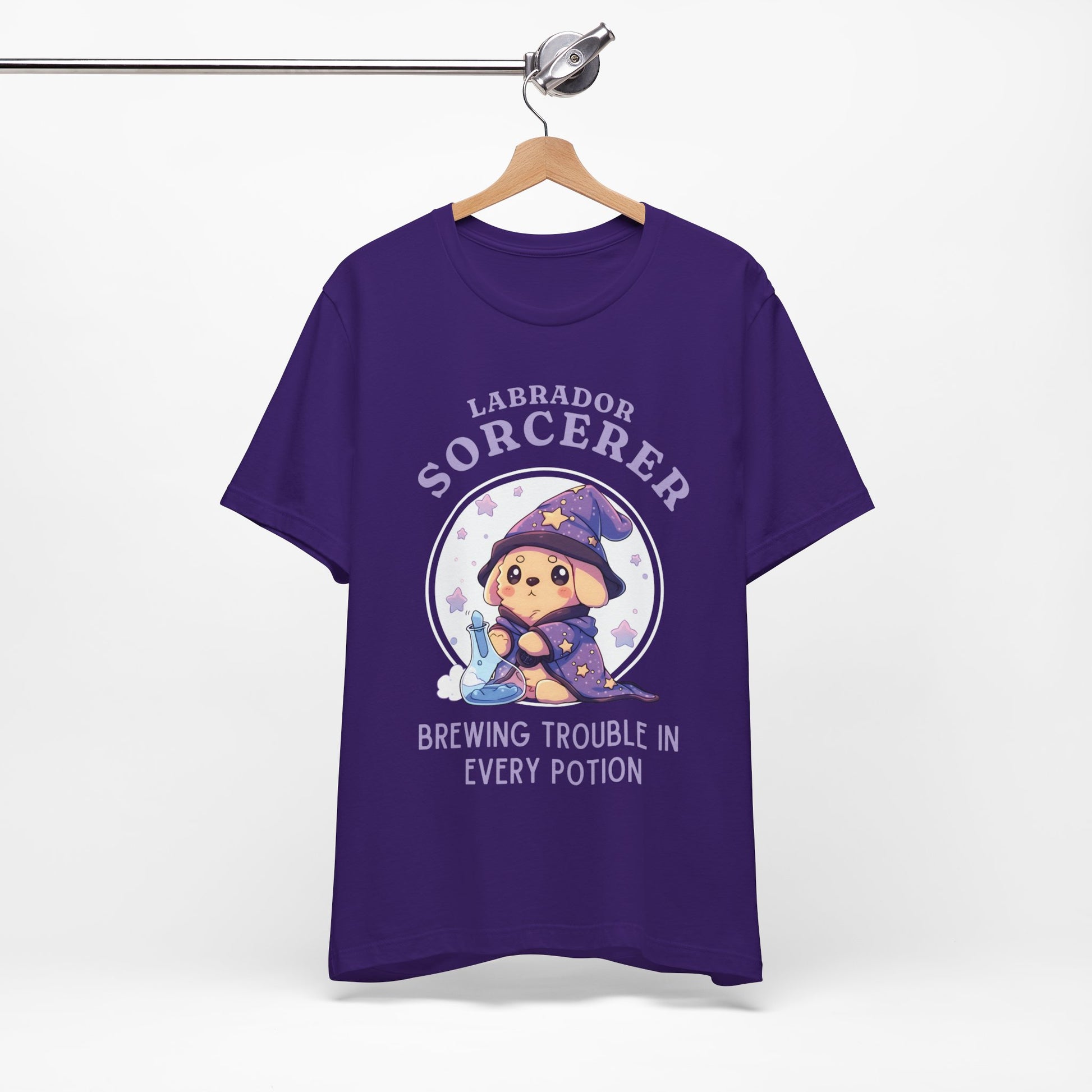 Labrador Sorcerer DND T-Shirt