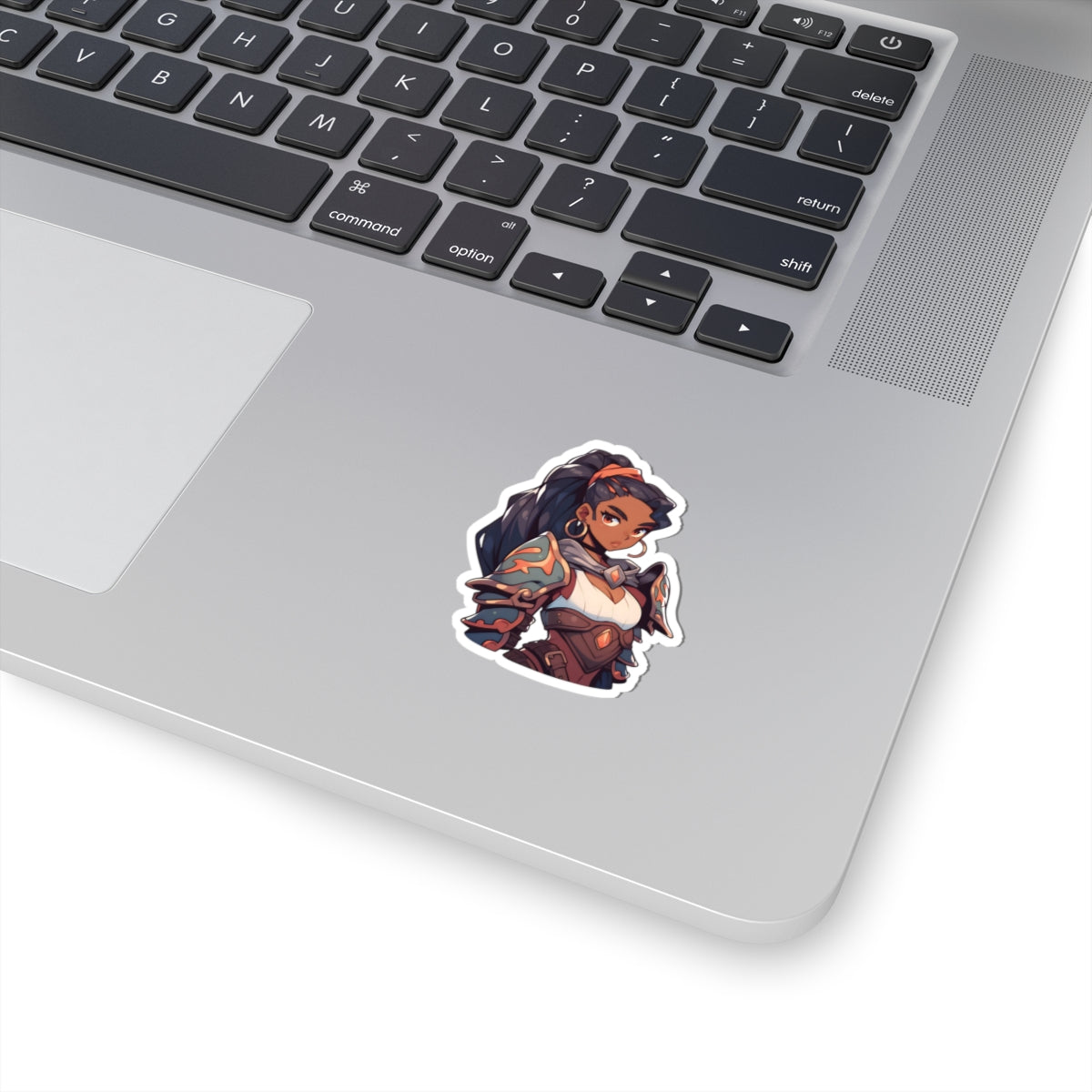 Lady Paladin Sticker
