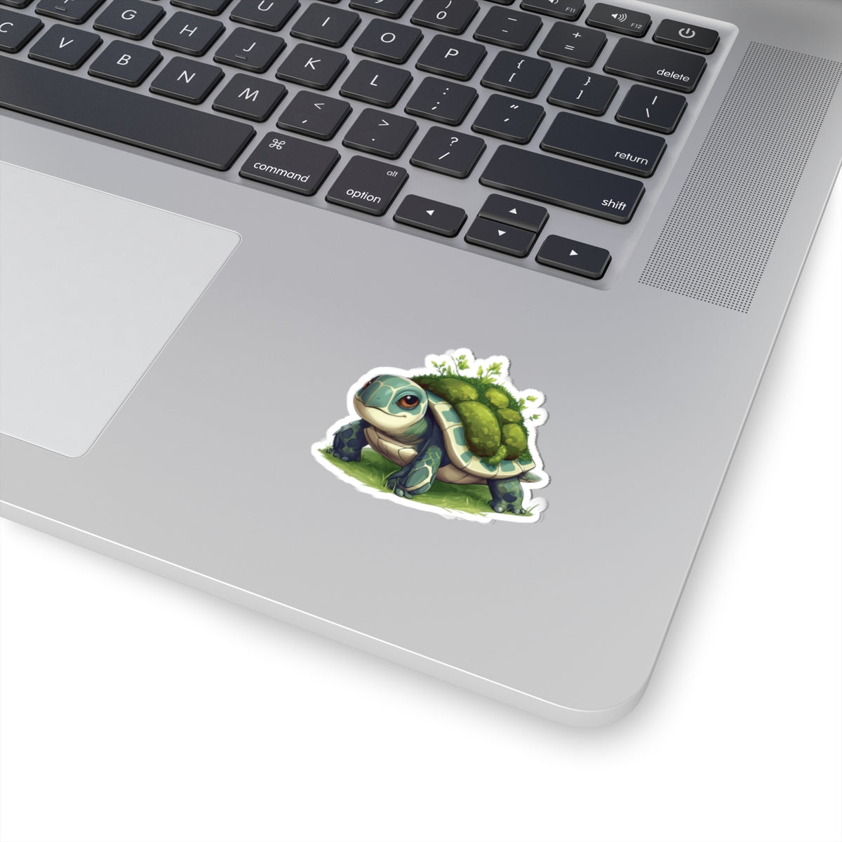 Cute Mossy Turtle Sticker